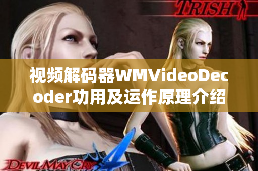 視頻解碼器WMVideoDecoder功用及運作原理介紹