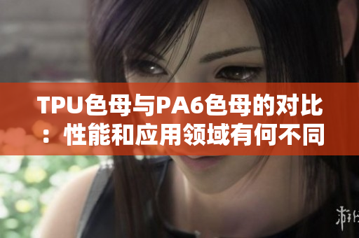 TPU色母與PA6色母的對比：性能和應(yīng)用領(lǐng)域有何不同？