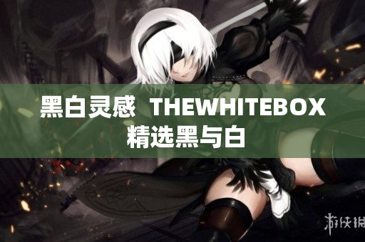 黑白靈感  THEWHITEBOX 精選黑與白