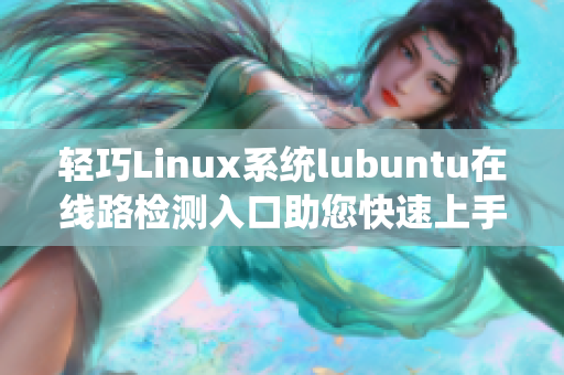 輕巧Linux系統(tǒng)lubuntu在線路檢測入口助您快速上手