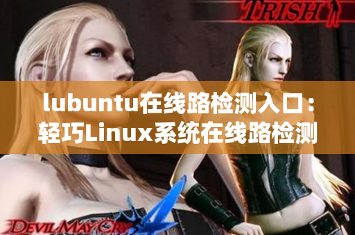 lubuntu在線路檢測入口：輕巧Linux系統在線路檢測服務