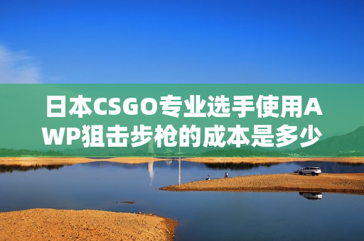 日本CSGO專業(yè)選手使用AWP狙擊步槍的成本是多少？